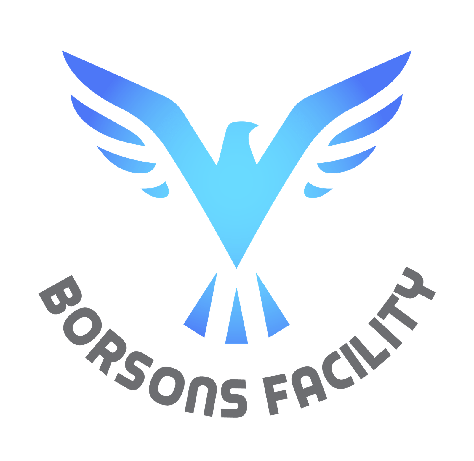 Borsons Facility