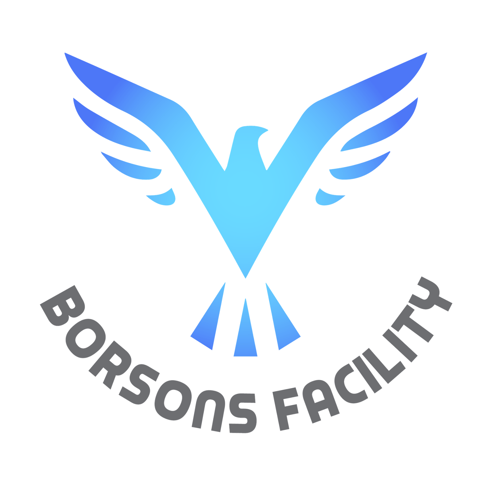 borson-logo.png